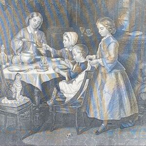 Olive Plants 8.25" x 5.25" Antique Engraving/Print